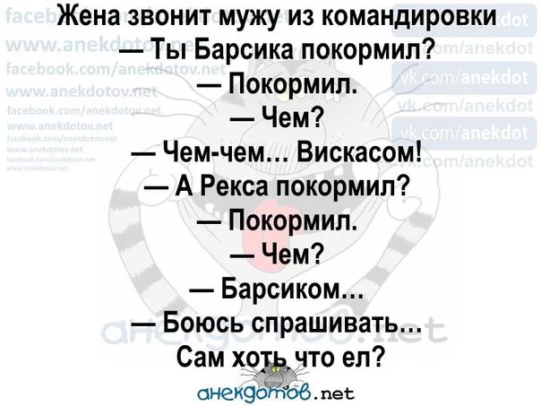 e6ejhg.webp