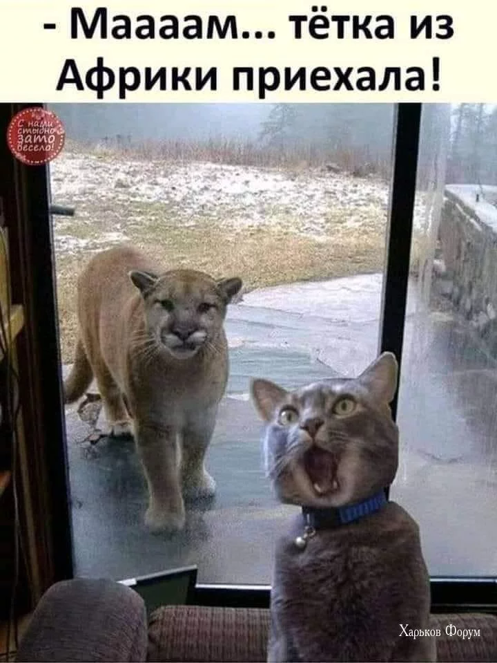 e6fe121cbfec3cda3.webp