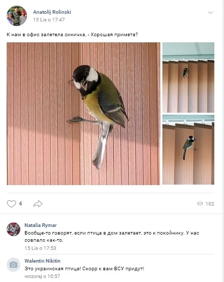 e6fjbf.webp