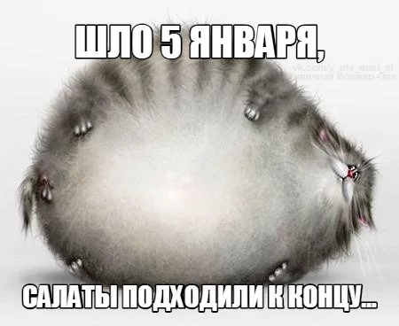 e6ghcg.webp