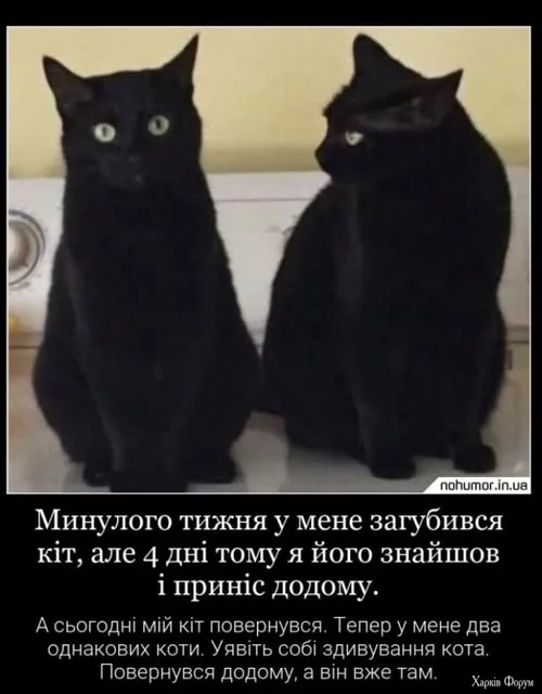 E6Id8KTA5WIuu8s&_nc_zt=23&_nc_ht=scontent.fiev25-1.jpg