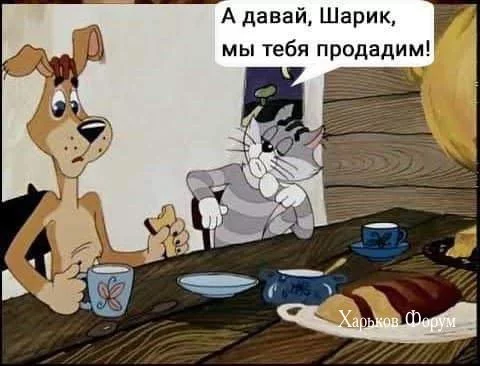 e7143592822277085074af17.webp