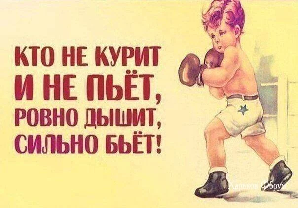 e730c626be851654f.webp