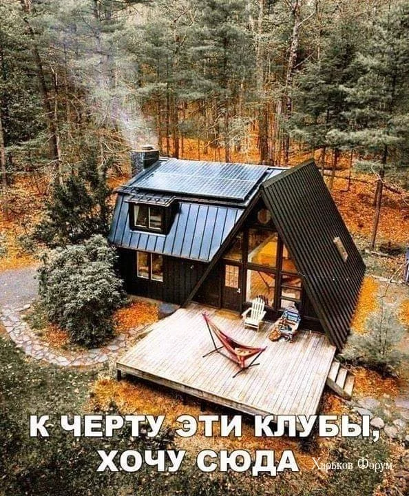 e745313dec47bd704.webp