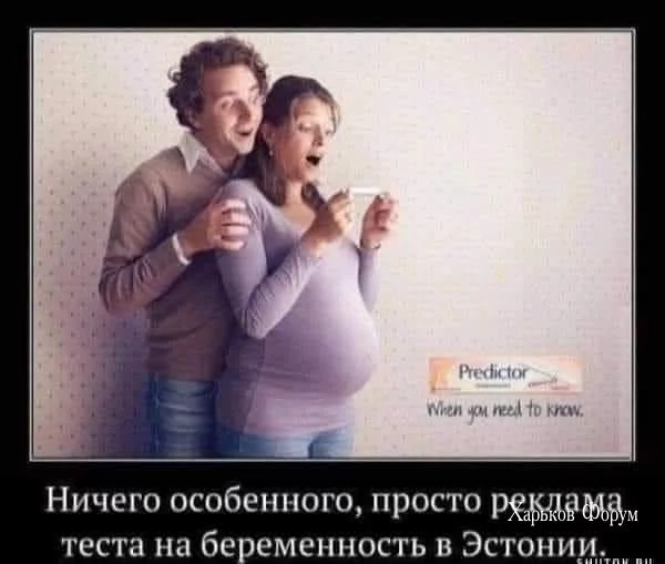 e74d990833bb2427.webp