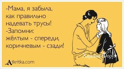 e754255a358bb64592a5e.webp