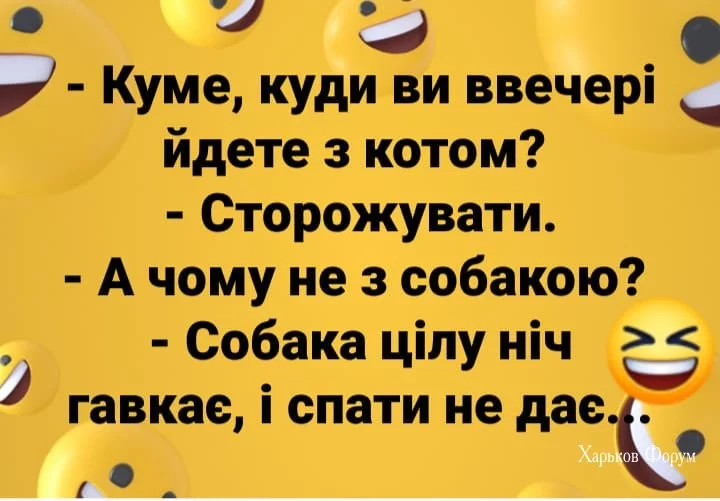 e7582dab3ba222d8c.webp