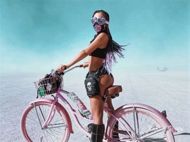 e75c1b92d926945dd.webp