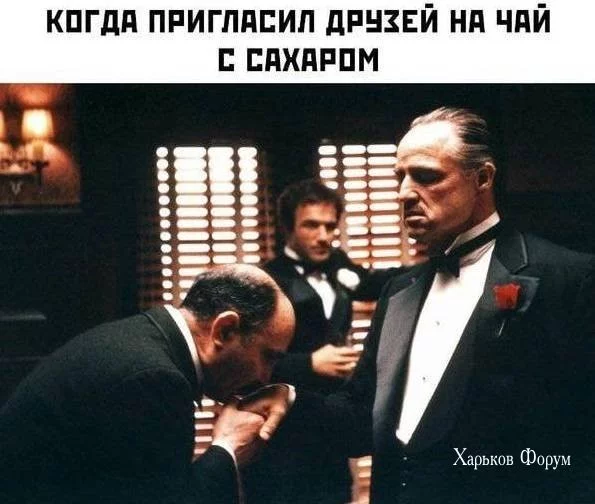e766dd933f7e86593.webp