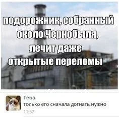 e76846c0942d175558395e.webp