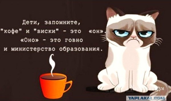 e76fc4d789a5408e93.jpg