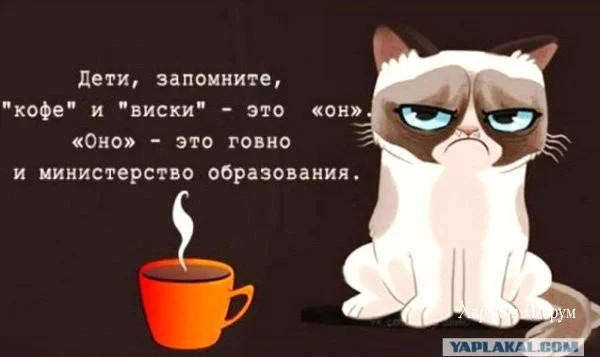 e76fc4d789a5408e93.webp