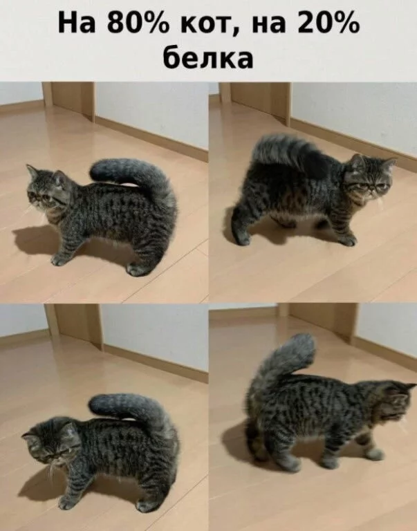 E78R5ERXsAEInrA?format=jpg&name=900x900.webp