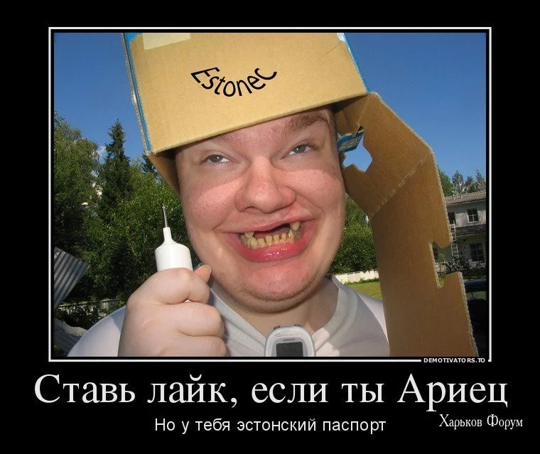 e79b461ff5a5e2a62e3d2.webp