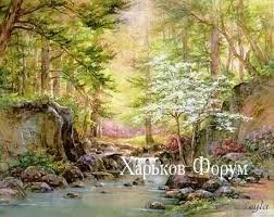 e7a284e52203d1fa.webp