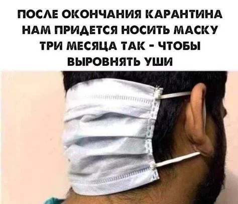 e7a5a8d054baa5faaae237473304856a.webp