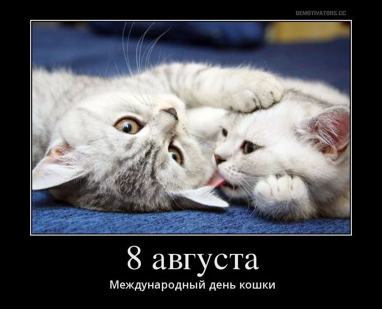 e7abbd.webp