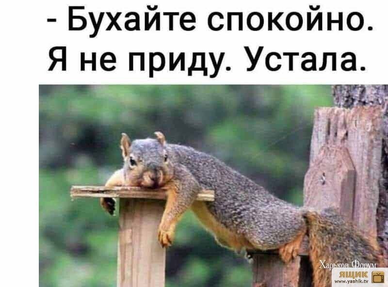 e7c070b7c9e97a6349b.jpg