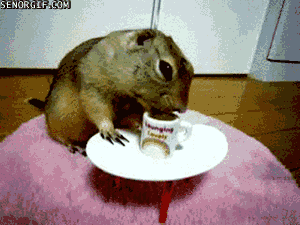 e7cdea4177fadf3d4.gif