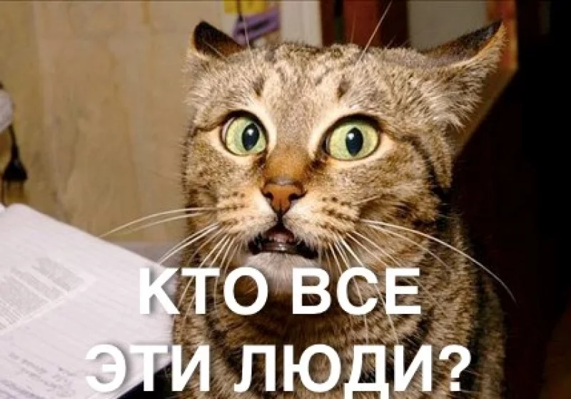 e7cege.webp