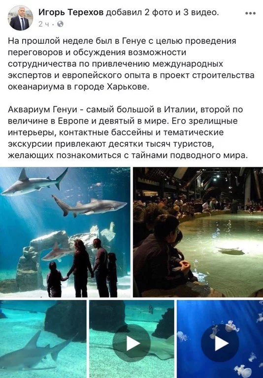 e7dcde.webp