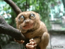 e7eabd38b1e5be2be.gif