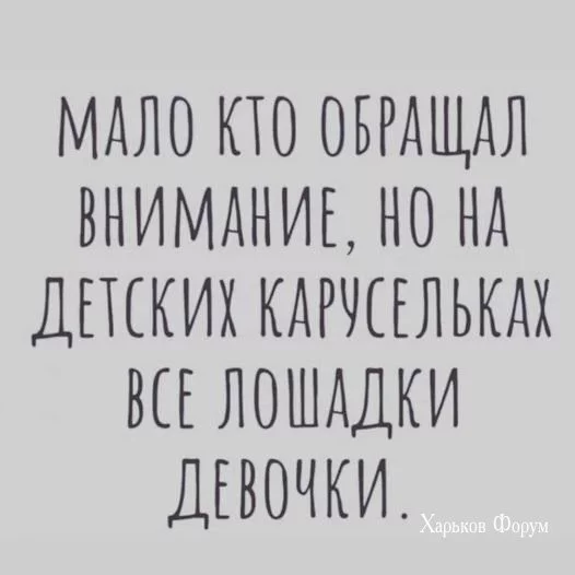 e7f04a66501ebdf77.webp