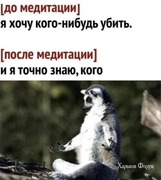e805a36e7d025787ae66.webp