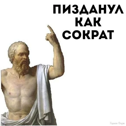 e811eb3bfbe88d5b1fa0631a9cf57bd4.webp
