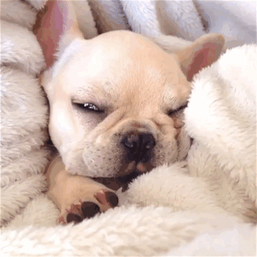 e83238d960d75ebc.gif