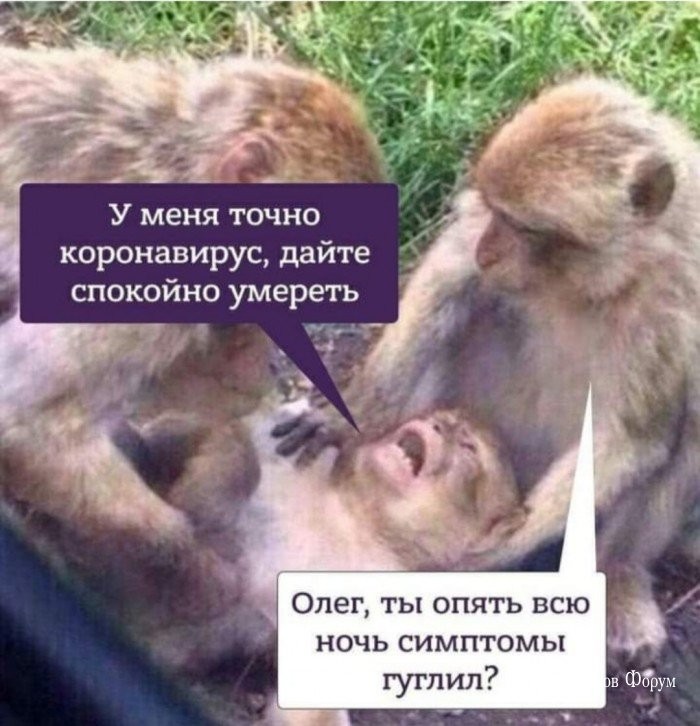 e832d00d1e914d51cb4f4a6f.jpg