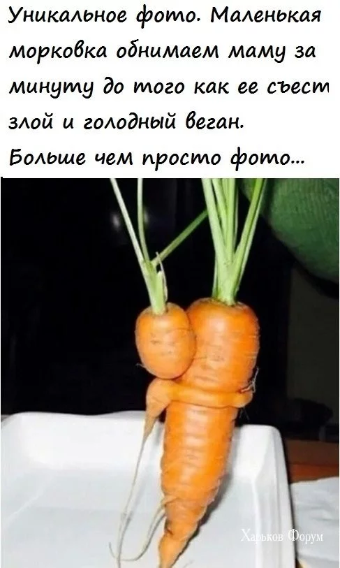 e836939537ff0e64.webp