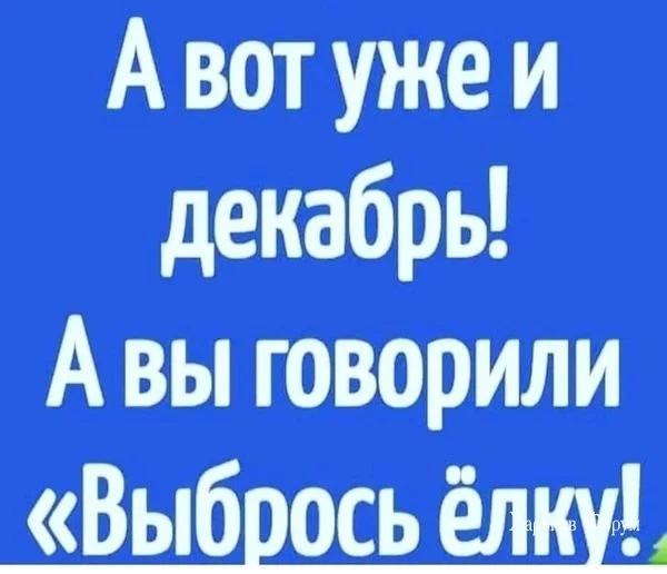 e8570fd6e64e8ca1e2814677.webp