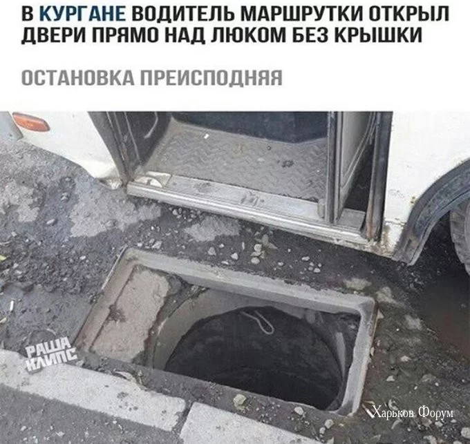 e85f17450a5c0b4a3a1d27f.webp