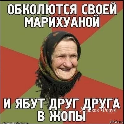 e8618dcdace8dd0a952b2.webp