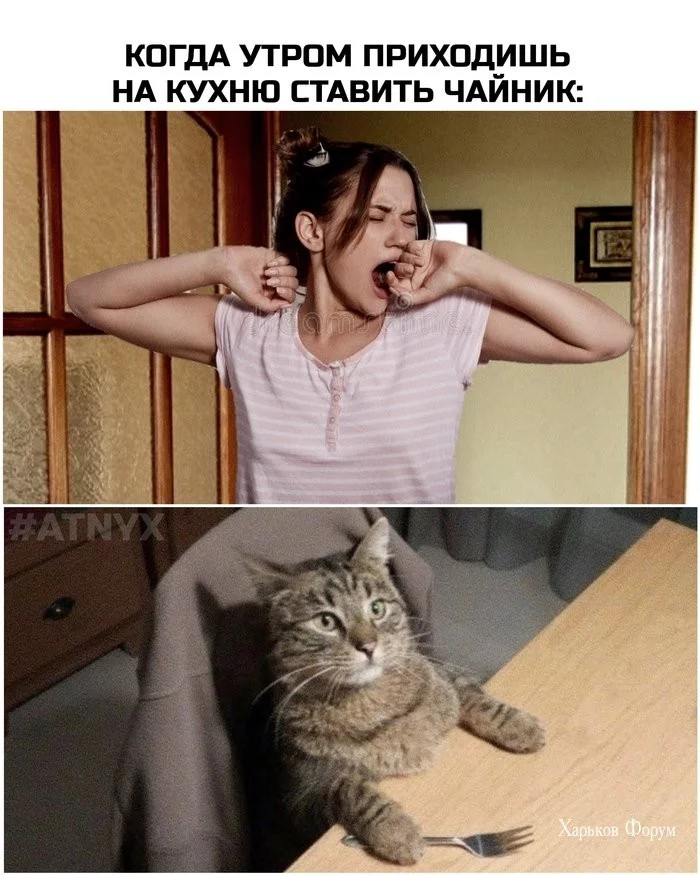 e861d4cd79b2133c2cac.webp
