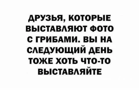 e8696a88561c8d7b.webp