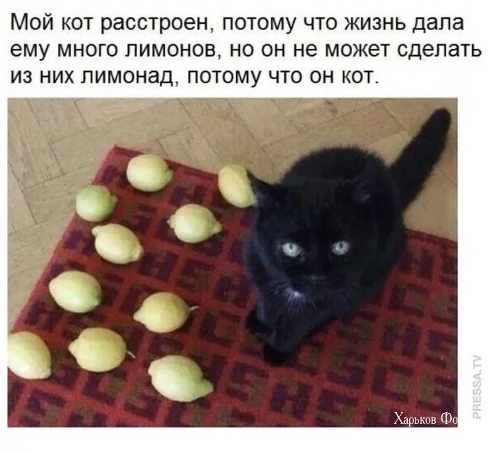 e8745e2a037b41f1ebd.webp