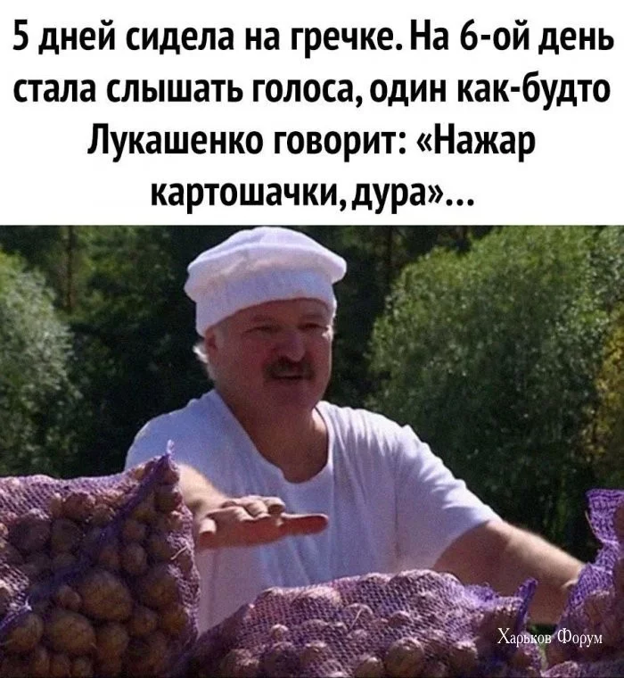 e87f2e2d7cecb225f4f451.webp