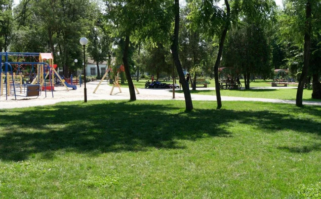 e89826cf785dcd2473c0f56153e4057f.webp