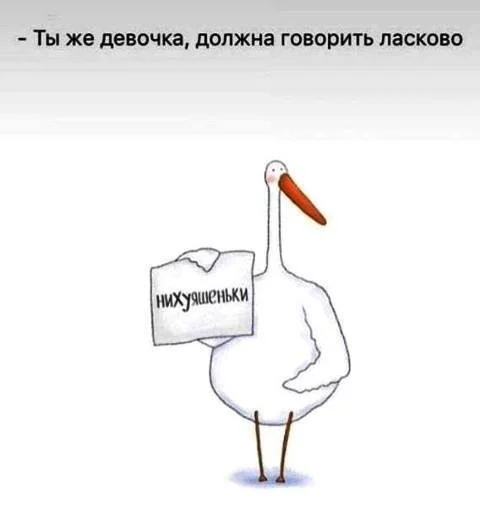 e8acedb48838c09c4165.webp