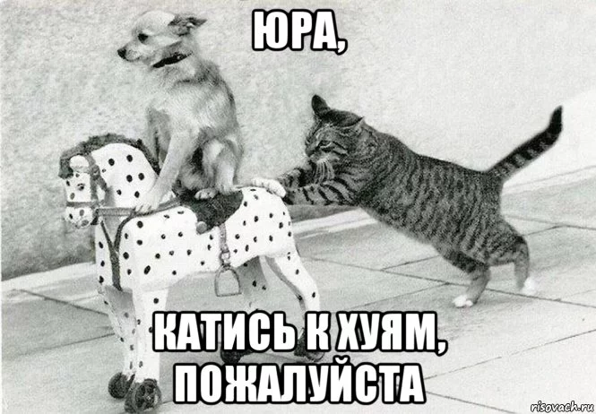 e8adga.webp