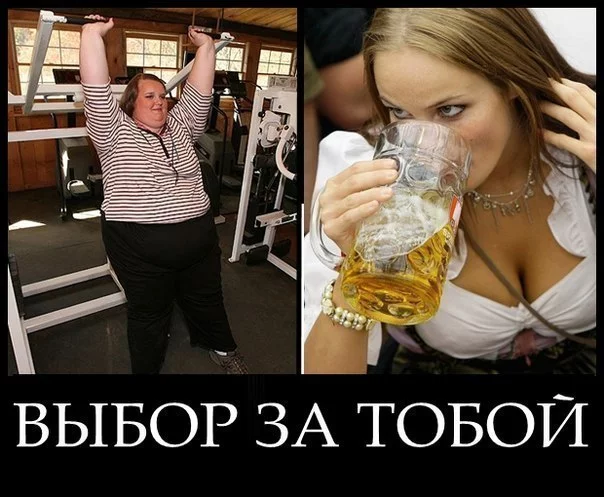 e8aec5337dda837bb33342165c652579.webp