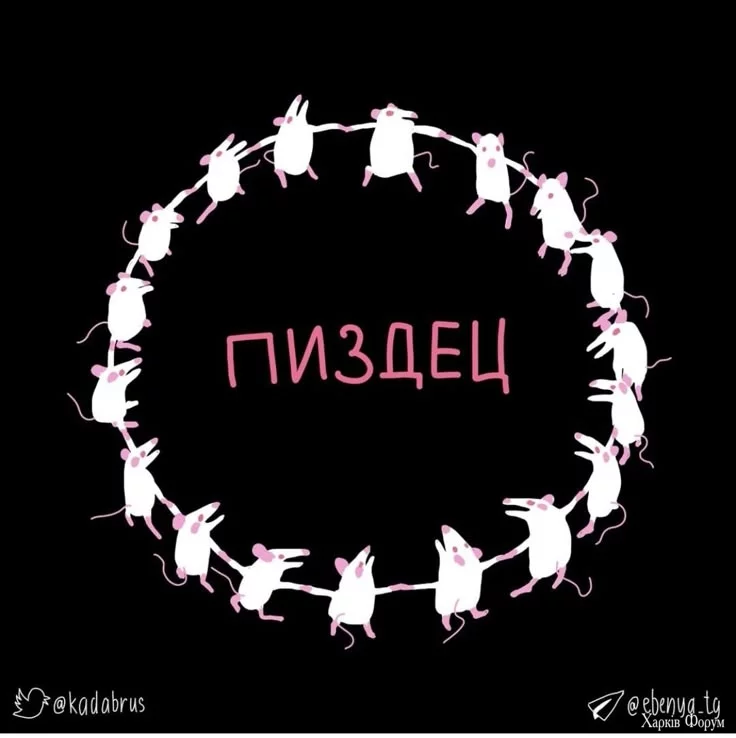 e8b980f87358bdae0e6311b7199c3b2c.webp