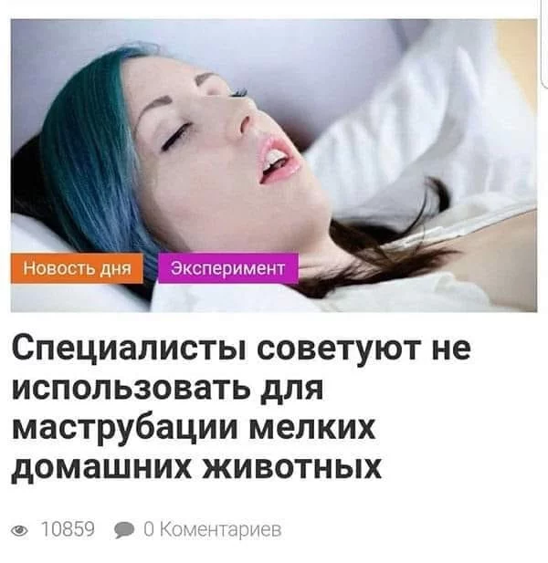 e8bjdg.webp