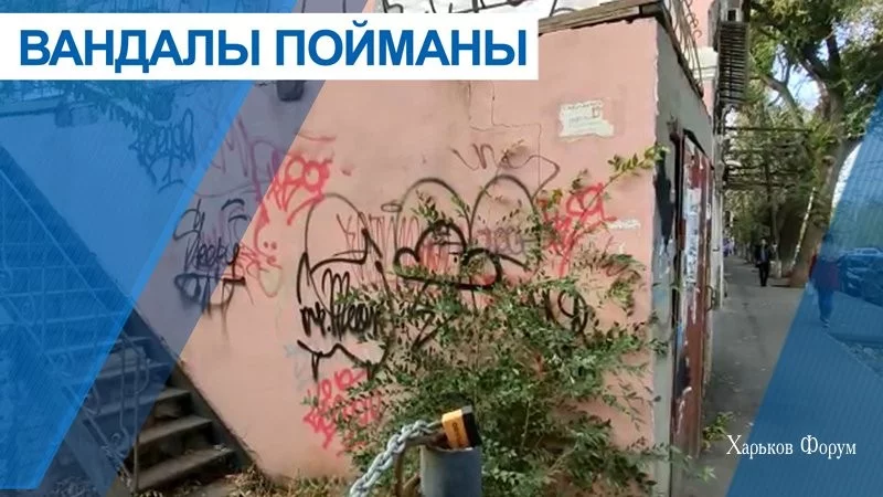 e8c6654beb5b732dceb58ed.webp