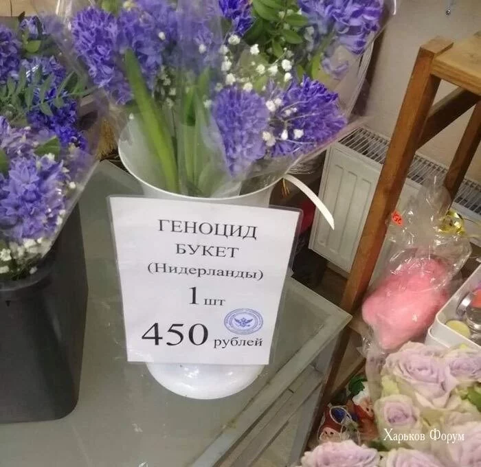 e8c884ef02368b07e684f8e.webp