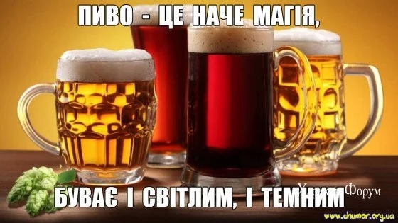 e8c8d407ecb38d4f49.webp