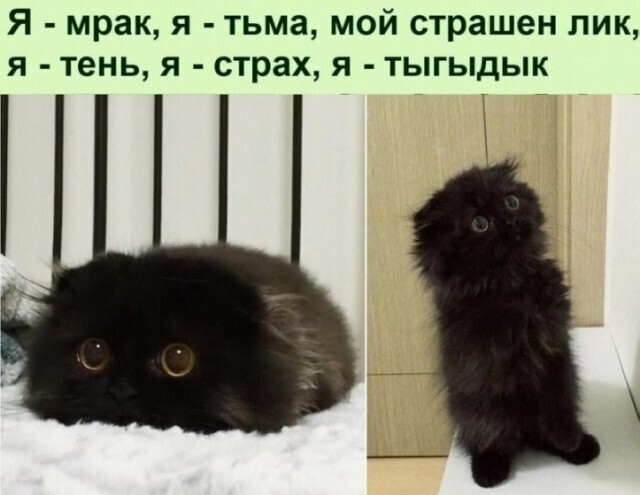 e8d3e70b444df534a279ba451ef1a4ba.jpg