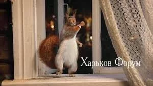 e8f4903c92667f4f81608c1.webp